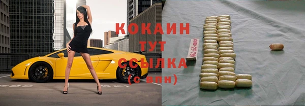 бошки Ельня