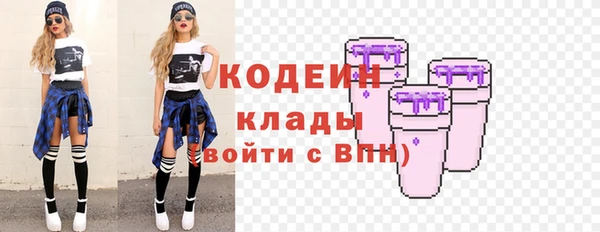 бошки Ельня