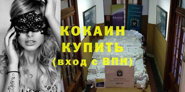 бошки Ельня