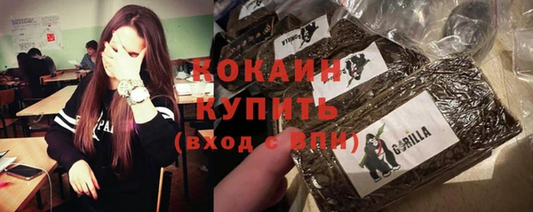 бошки Ельня
