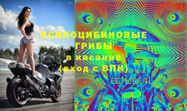 трава Елабуга
