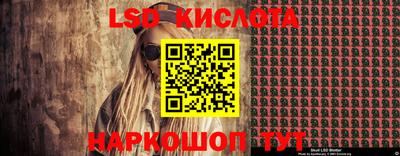 молекула духа Новозыбков
