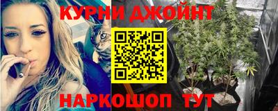 крисы Новокубанск