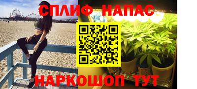 крисы Новокубанск