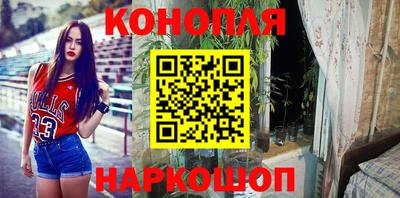 крисы Новокубанск