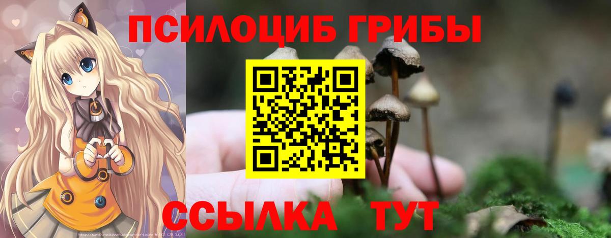 Псилоцибиновые грибы прущие грибы Радужный